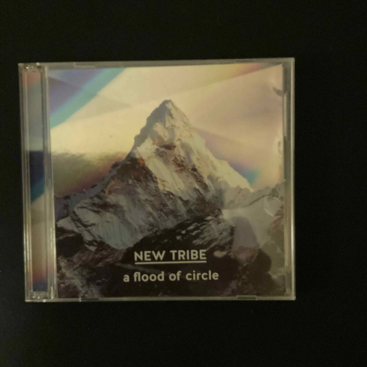 【中古CD】 a flood of circle / New Tribe(DVD付2枚組) / TECI-1534【NC0512】拍卖