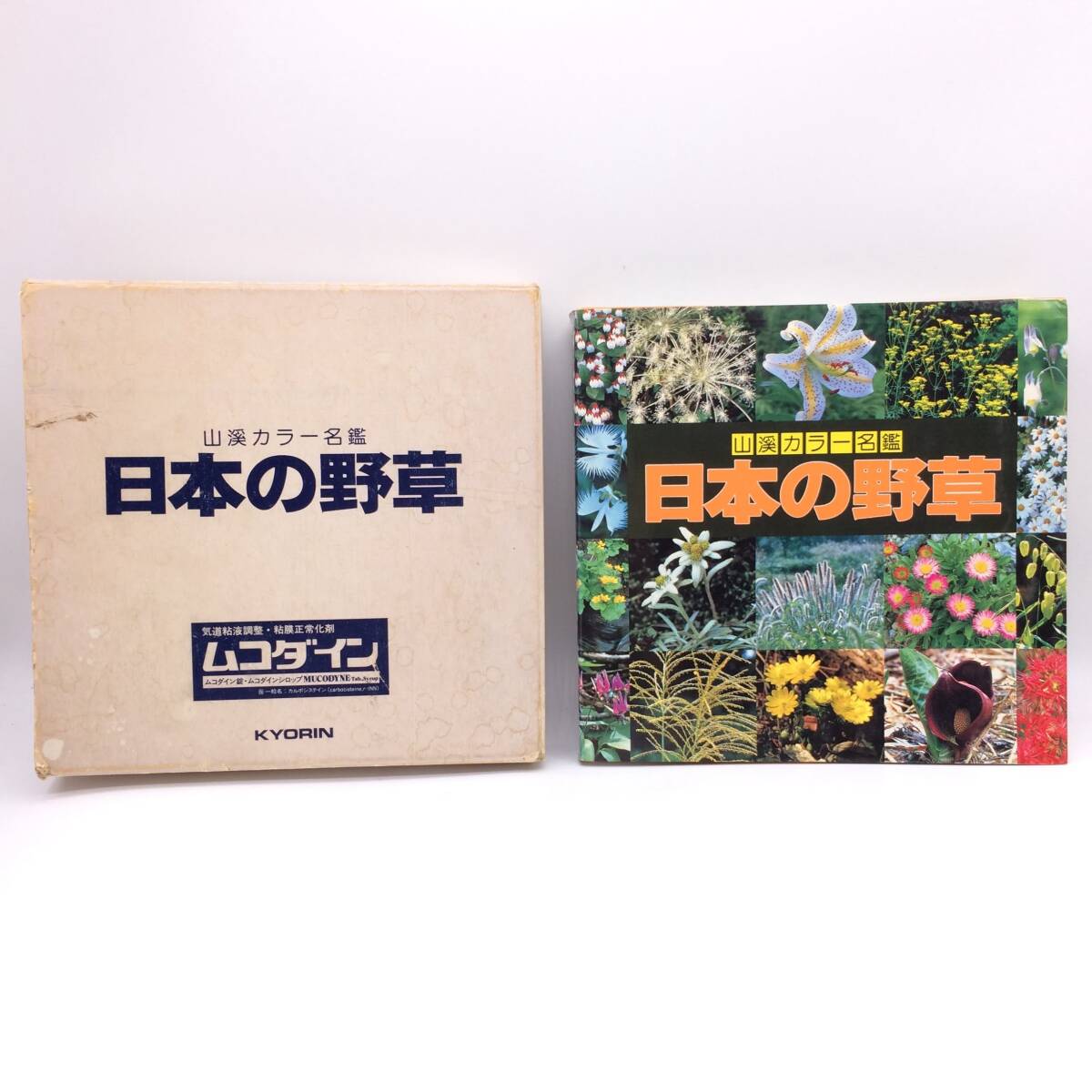 日本の野草 山溪カラー名鑑 山と渓谷社 1983年 1987年17刷 外函汚れ AY251015拍卖