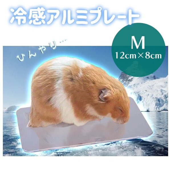 送料無料 ペットひんやり アルミプレート Mサイズ 猫 うさぎ 暑さ対策 ひんやり マット ペット用品 ひんやり クールマット 夏対策拍卖