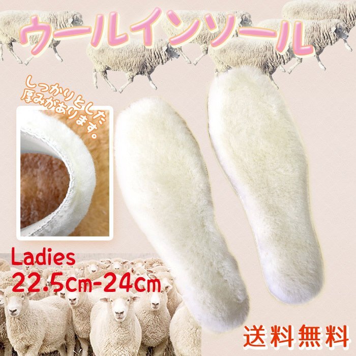 送料無料 もこもこ ウールインソール/中敷 選べるサイズ 22.5cm-24cm レディース ボア ムートン 中敷き 防寒 靴 フェルト ふわふわ 女性用拍卖