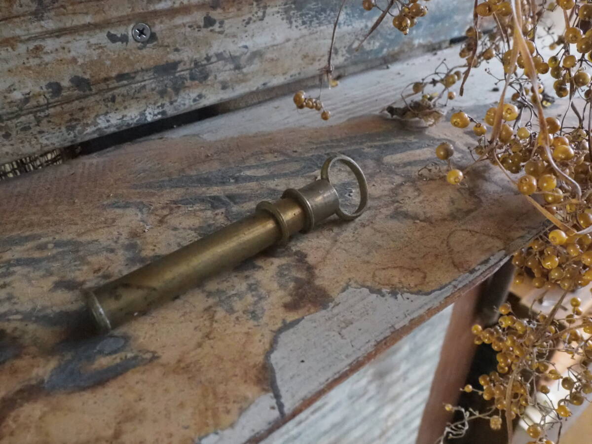【真鍮製噴霧器B】スプレー古道具アンティーク骨董インテリア注射器型インダストリアル植木鉢ガーデニング盆栽ミスト霧吹き拍卖