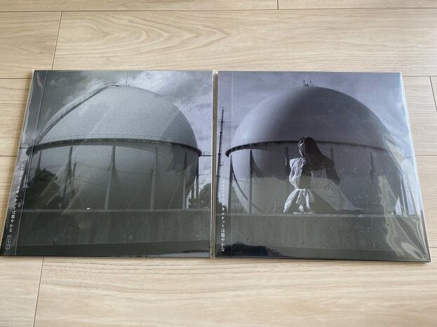 カネコアヤノ LP アナログ盤「タオルケットは穏やかな」+「タオルケットは穏やかな ひとりでに」レコード拍卖