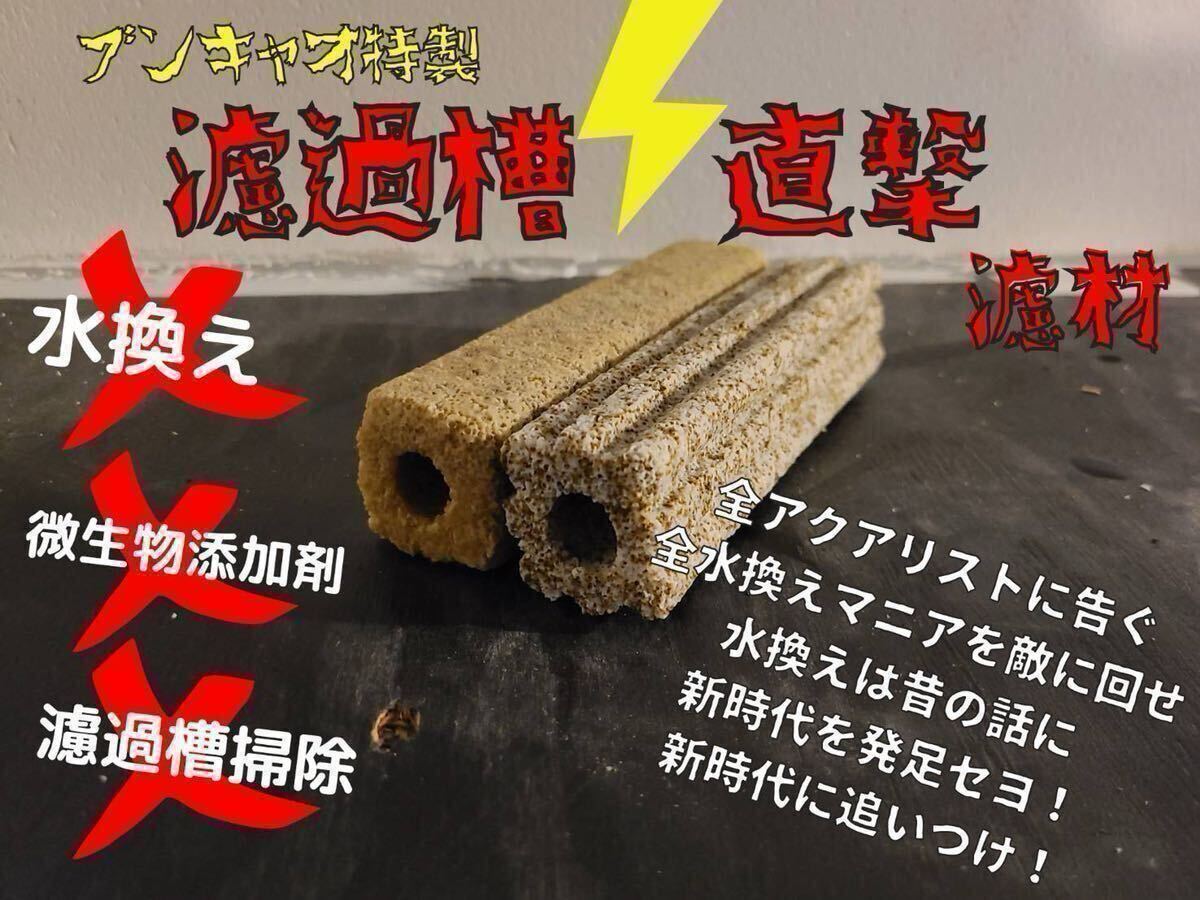 《100本》ブンキャオ特製! 濾過槽直撃濾材! セラミックろ材 ナノ細菌 2種類入り100サイズ拍卖