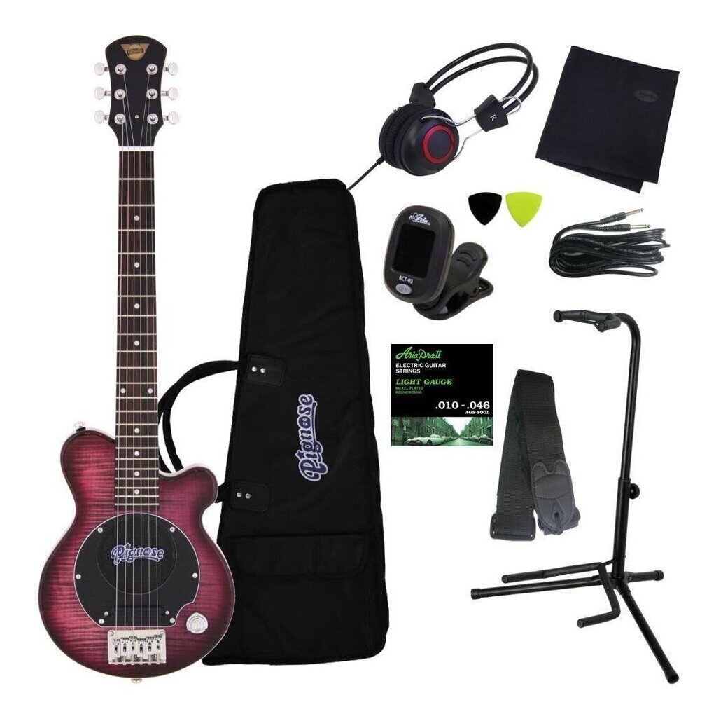 即決◆新品◆送料無料Pignose PGG-200/FM SPP/豪華10点セット スピーカー内蔵ミニギター PGG-200FM拍卖