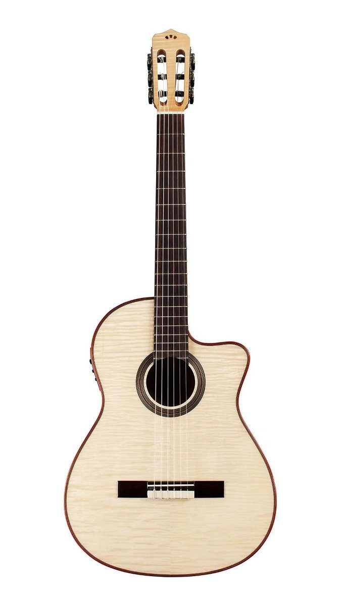 即決◆新品◆送料無料CORDOBA Fusion 12 WHITE SANDS コルドバ エレクトリック クラシックギター エレガット/ギグバッグ付拍卖
