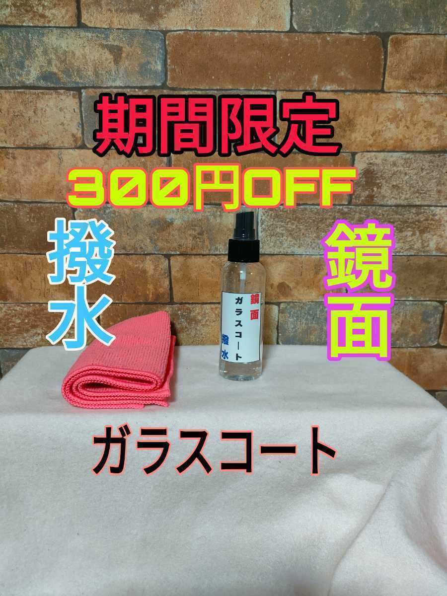 数量限定300円OFF!鏡面 撥水 ガラスコーティング剤 簡単施工 プロ用 100ml マイクロファイバー付拍卖