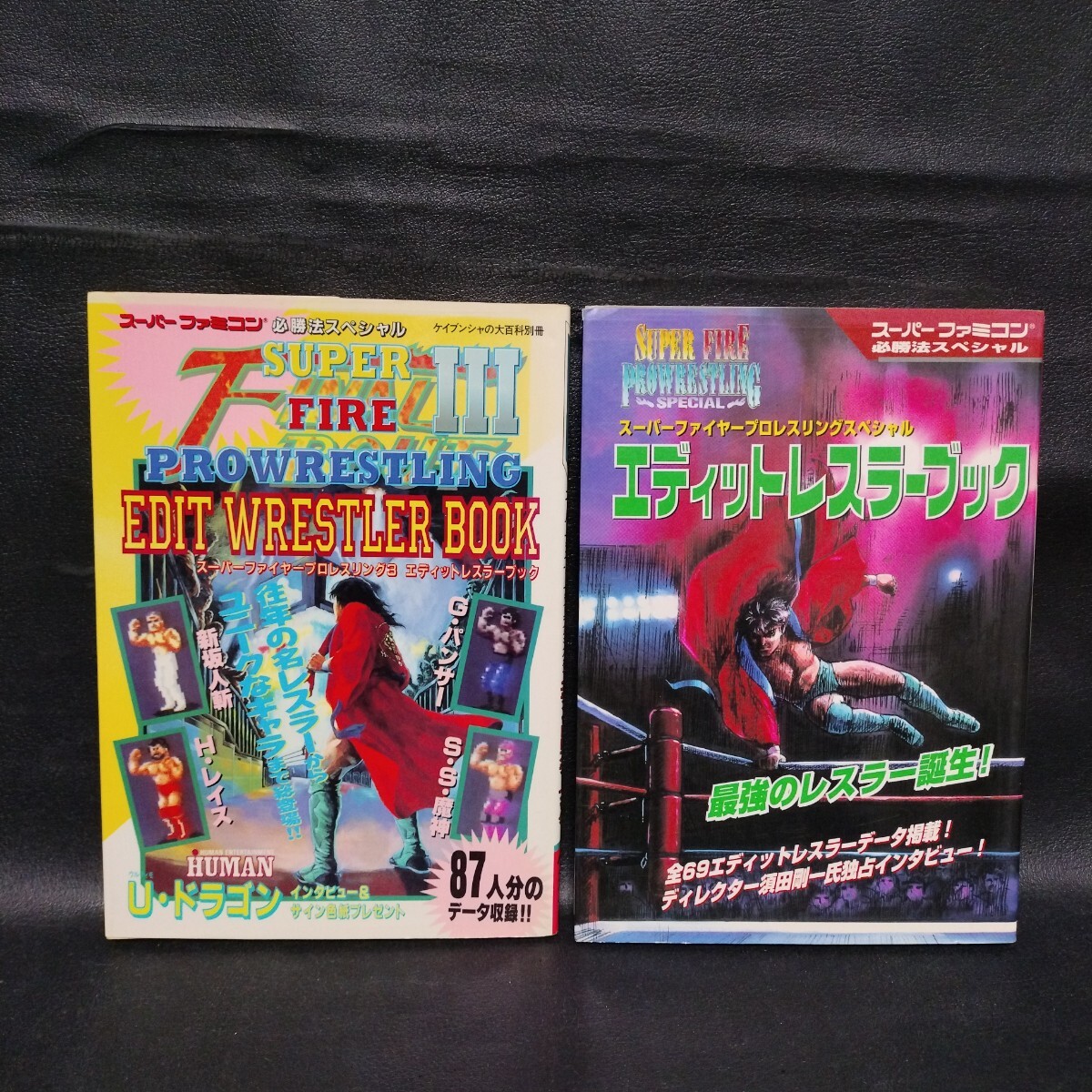 【スーパーファイヤープロレスリング】エディットレスラーブック 2冊セット売り スーパーファミコン 必勝法スペシャル 棚G拍卖