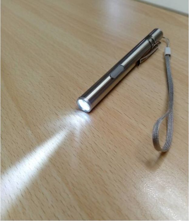【送料無料】ケーブル付 スタイリッシュな充電式 LED ペンライト ステンレス ストラップ・クリップ付 高輝度コンパクト 医療/点検/防災に拍卖
