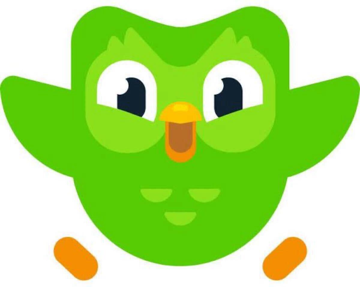 *Duolingo Super(1年間プラン)”拍卖
