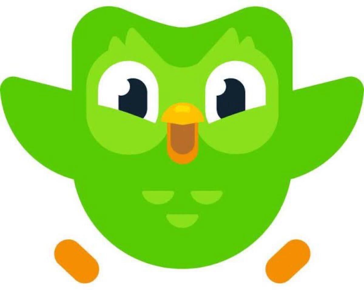 ***Duolingo Super(1年間プラン)拍卖