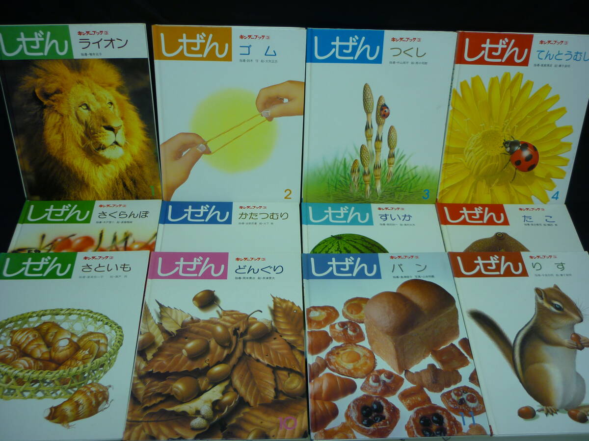 フレーベル館 キンダーブック3 しぜん【12冊セット】 1982年.1983年★ライオン.たこ.ゴム.つくし/他★レトロ■35T拍卖