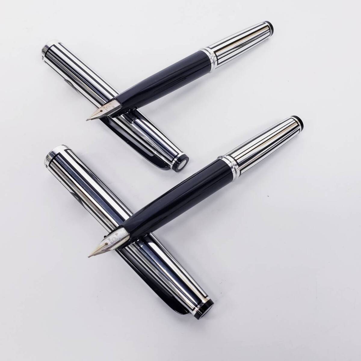 25国/A037127-57/HK5000/E113-515/万年筆 2点まとめ PLATINUM プラチナ 14K WG 中字/細字拍卖