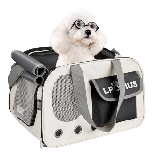 ブラック LPOTIUS ペットキャリー バッグ 折り畳み 2way 猫 キャリー 軽量 小型犬 キャリーバッグ 通気性 洗える 拍卖
