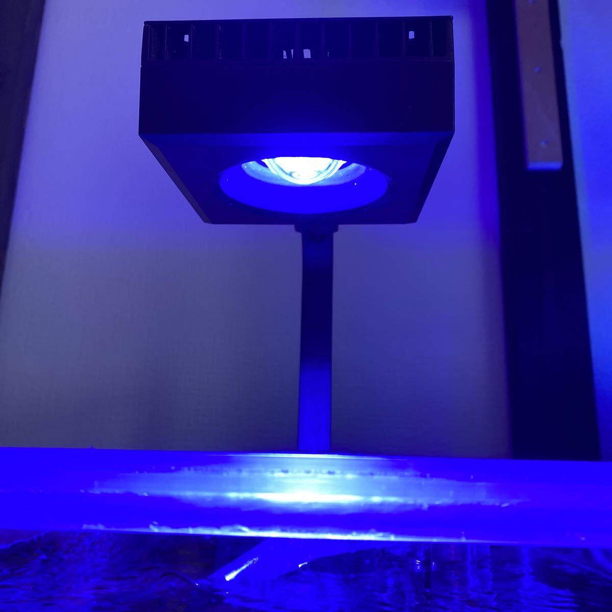 Red Sea ReefLED 50 水槽ライト LED サンゴ アクアリウムライト リーフLED50 レッドシー 箱無し拍卖
