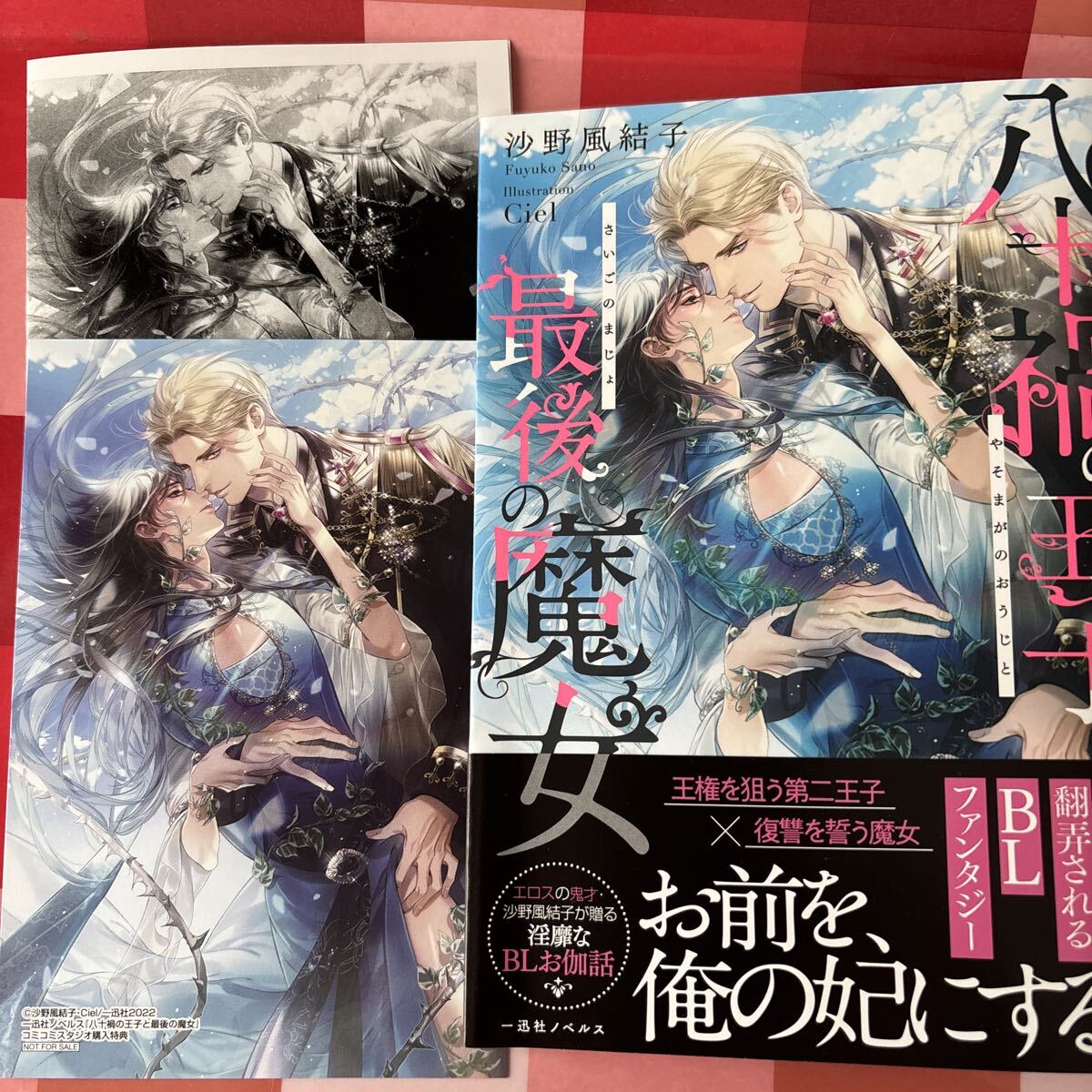 八十禍の王子と最後の魔女 (一迅社ノベルス) 沙野風結子/著拍卖