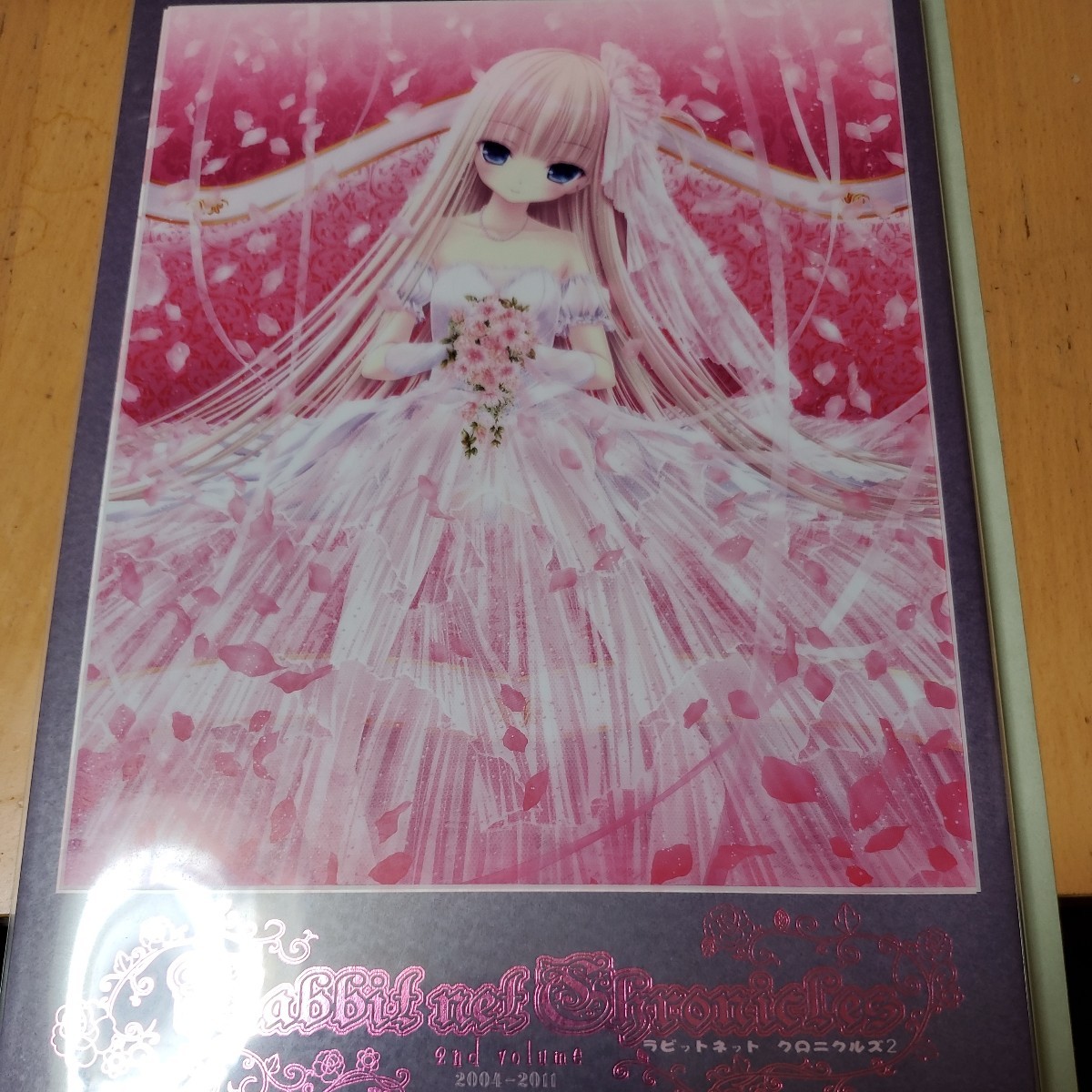 Rabbit net Chronicles 2nd volume 数量5拍卖