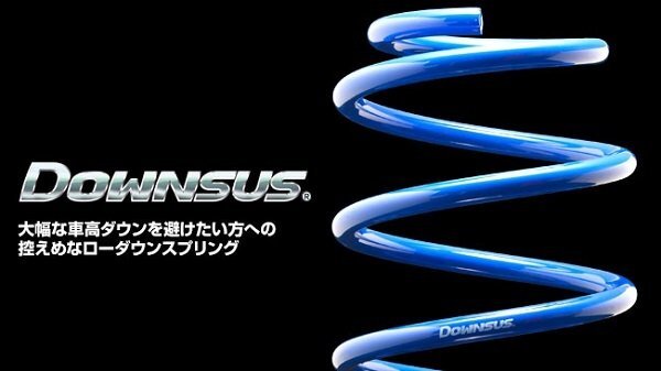 送料無料 ■エスペリア ダウンサス ヴォクシー ZRR80G ~H29/7拍卖