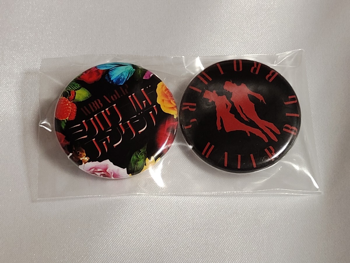 Y2128 : 佐野瑞樹 佐野大樹 WBB WATER BIG BROTHER Vol.12 ミクロワールド ファンタジア 缶バッジ2個セット 松田元太拍卖