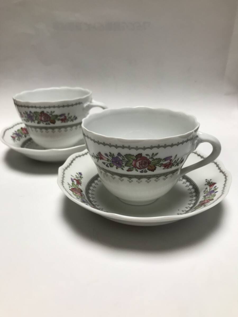 HUTSCHENREUTHER フッチェンロイター カップ&ソーサー 2客拍卖