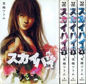 スカイハイ・新章 全4巻完結(ヤングジャンプコミックス) 10105054-45951拍卖