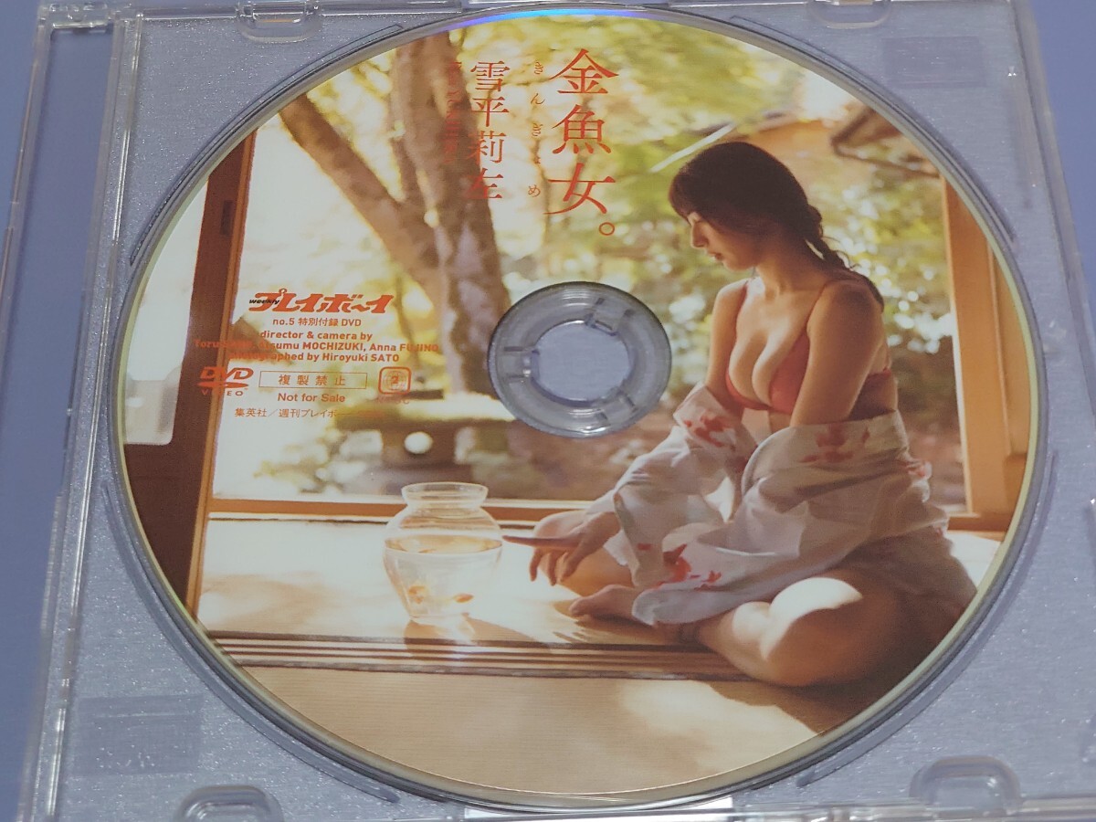 2024 プレイボーイ No.5 特別付録DVD 雪平莉左拍卖