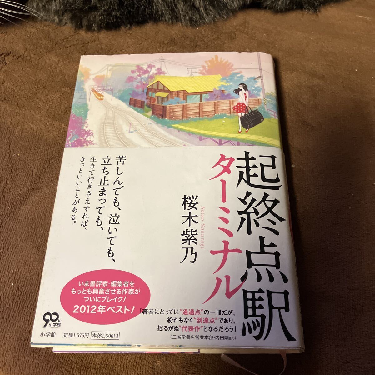 起終点駅(ターミナル) 桜木紫乃/著拍卖