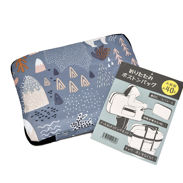 新品 折りたたみ キャリーオンバッグ 大容量 ボストンバッグ 40L コンパクト ナイロン 未使用 エコバッグ 機内持ち込み かわいい拍卖