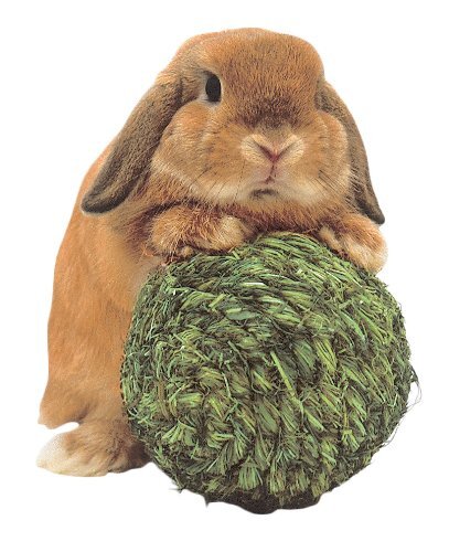 【人気商品】わらっこ倶楽部 リンリンボール拍卖