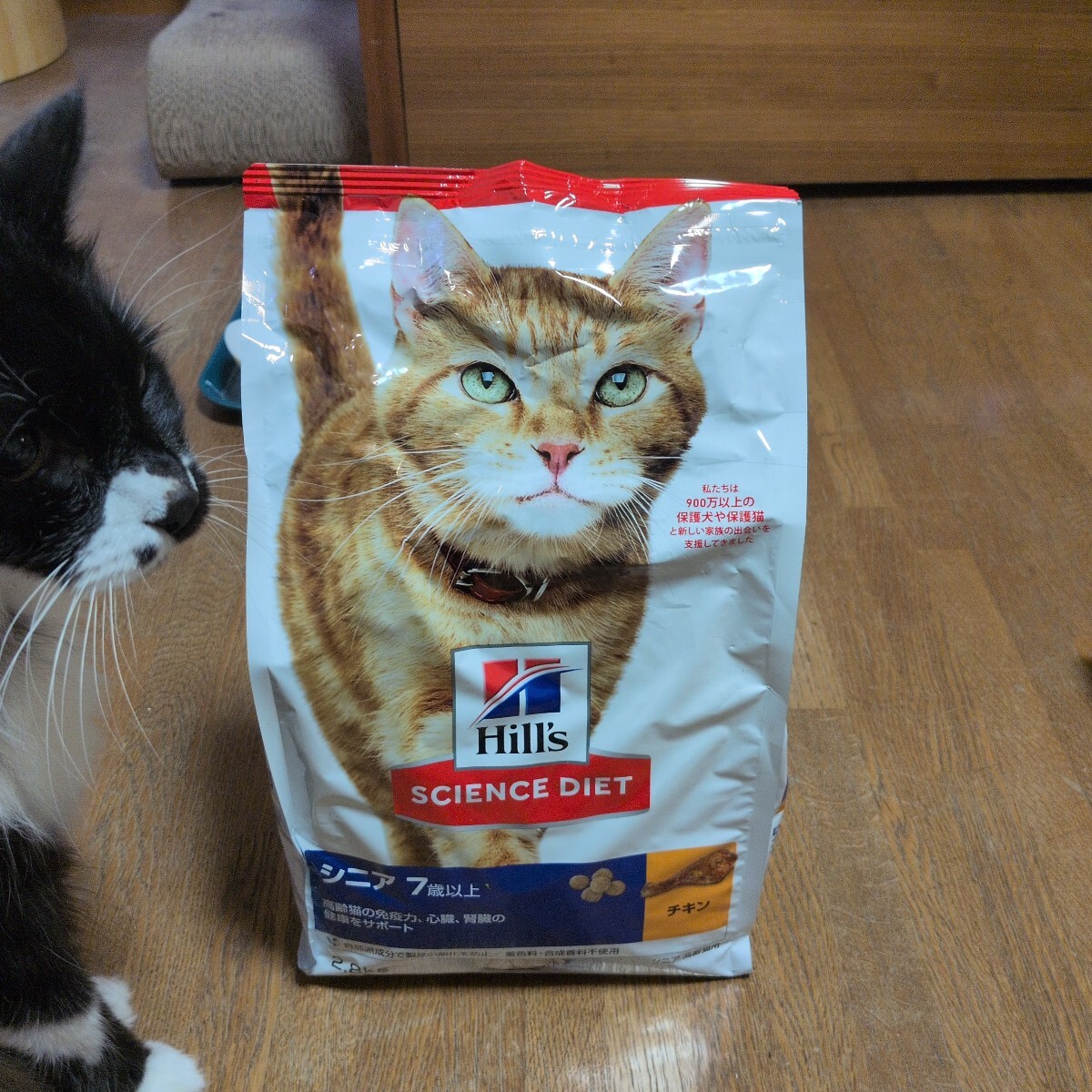 ヒルズ サイエンスダイエット 猫用 シニア 7歳以上 高齢猫用 2.8kg拍卖