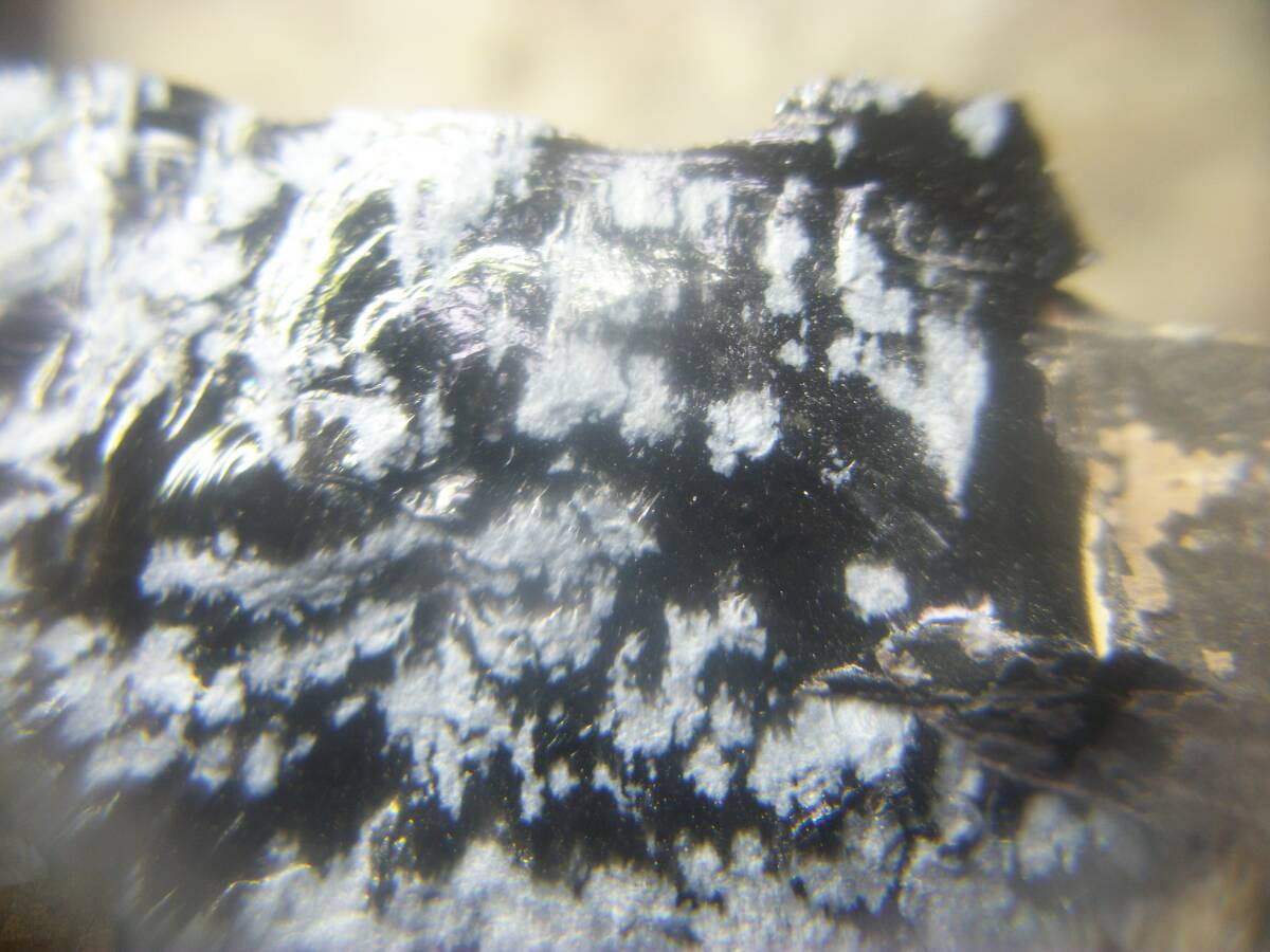 国産鉱物 長野県 和田峠 スノーフレークオブシディアン 黒曜石 クリストバル石 雪景色 良標本 定型外発送拍卖