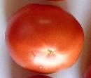 ★トマト ポンテローザ★種15粒★同梱可★拍卖
