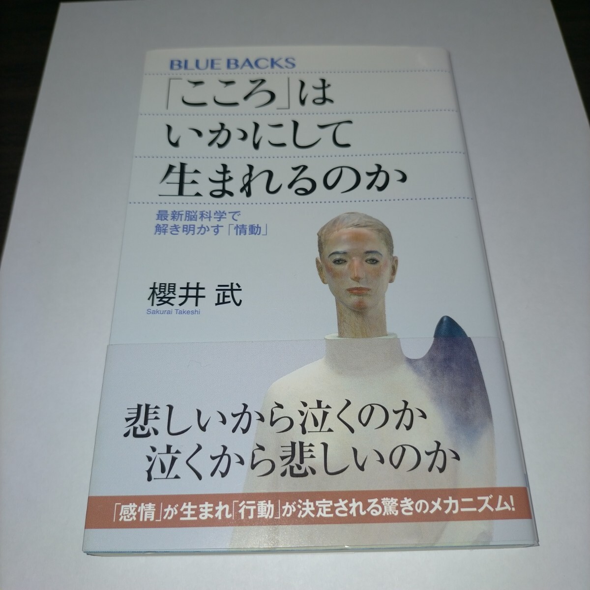 「こころ」はいかにして生まれるのか 最新脳科学で解き明かす「情動」 (ブルーバックス B-2073) 櫻井武/著 保管a拍卖