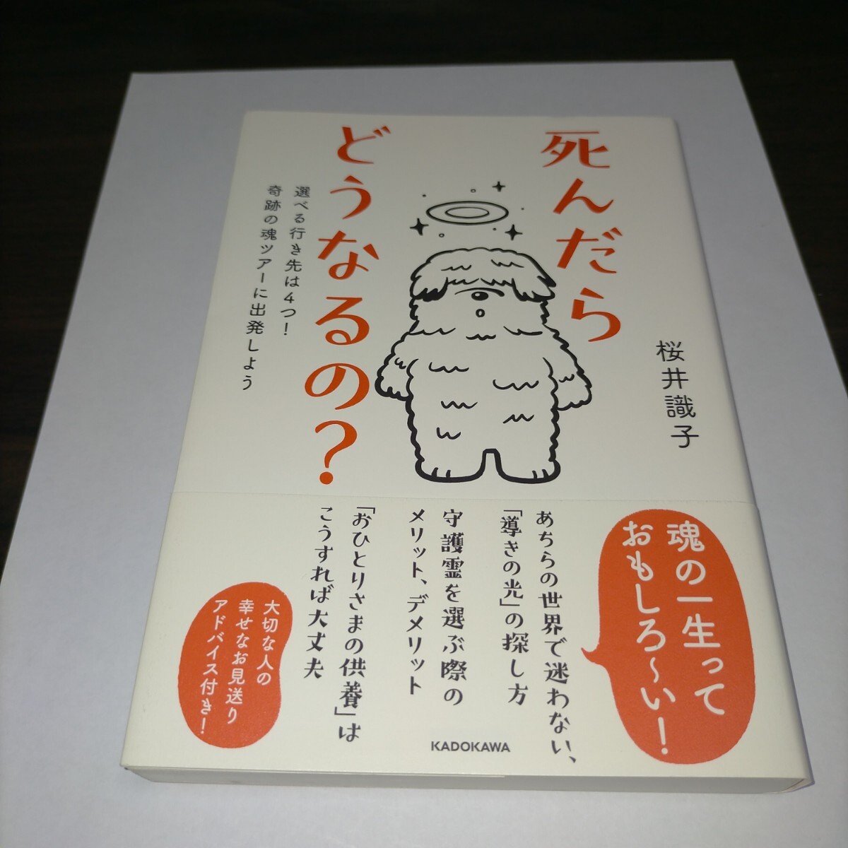 死んだらどうなるの? 選べる行き先は4つ!奇跡の魂ツアーに出発しよう 桜井識子/著 保管b拍卖