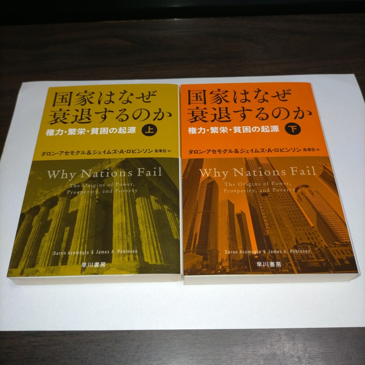 国家はなぜ衰退するのか 権力・繁栄・貧困の起源 上下セット (ハヤカワ文庫 NF 464) ダロン・アセモグル/著 保管b拍卖