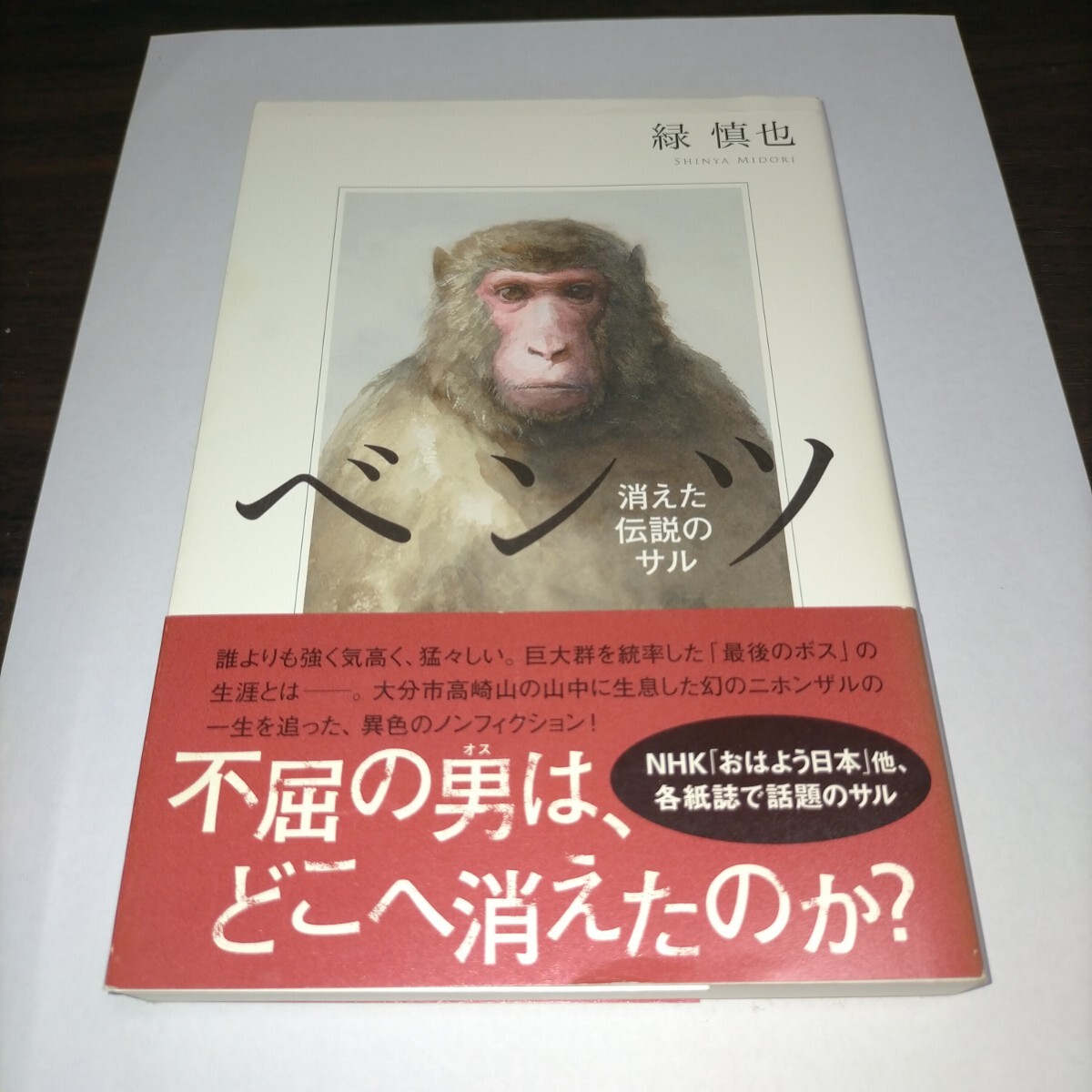 ベンツ 消えた伝説のサル 緑慎也/著 保管b拍卖