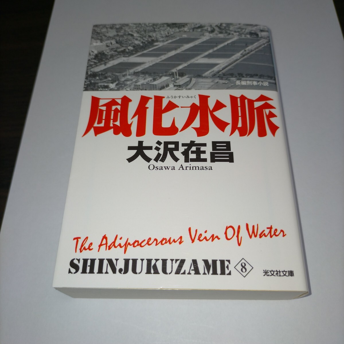 風化水脈 長編刑事小説 新装版 (光文社文庫 お21-23 新宿鮫 8) 大沢在昌/著 保管b拍卖