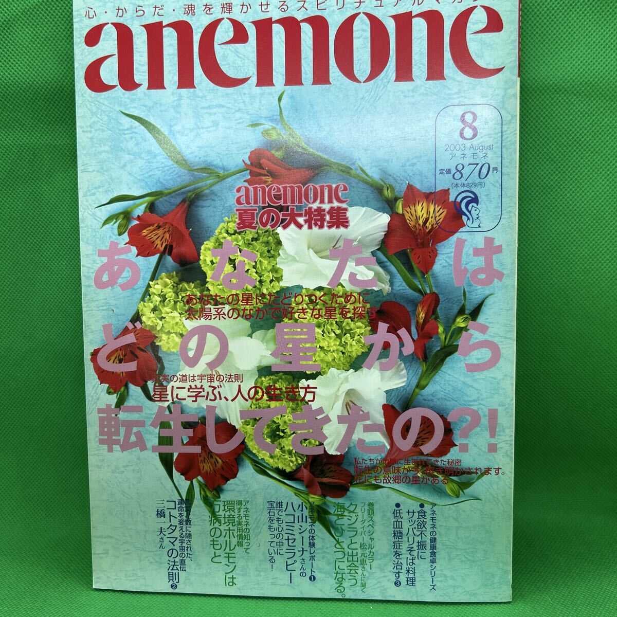 anemone(アネモネ)2003年8月号/飛鳥新社/あなたはどの星から転生してきたの?/環境ホルモンは万病のもと/L251010-17*92拍卖