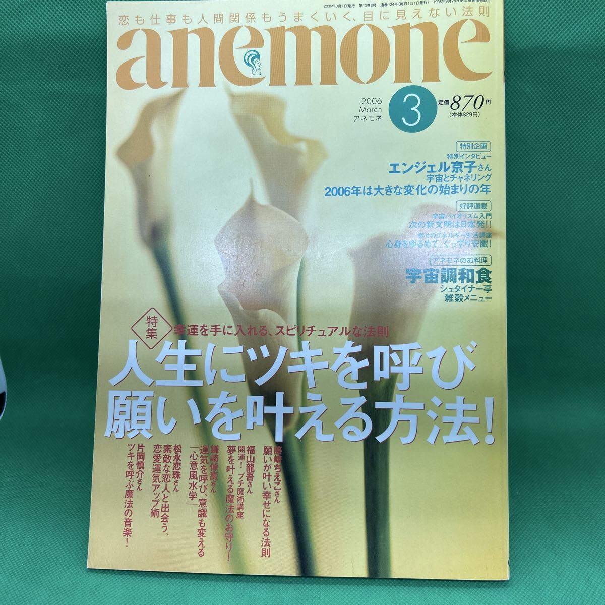 anemone(アネモネ)2006年3月号/飛鳥新社/人生にツキを呼び願いを叶える方法!/M251015-8*8拍卖