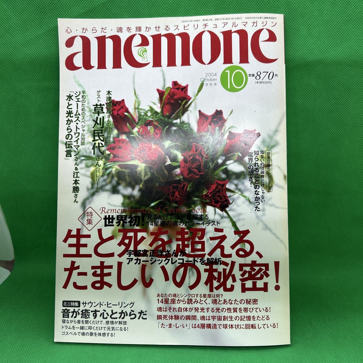 anemone(アネモネ)2004年10月号/飛鳥新社/生と死を超える、たましいの秘密/アカ-シックレコード/木津龍馬/草刈民代/M251015-9*9拍卖