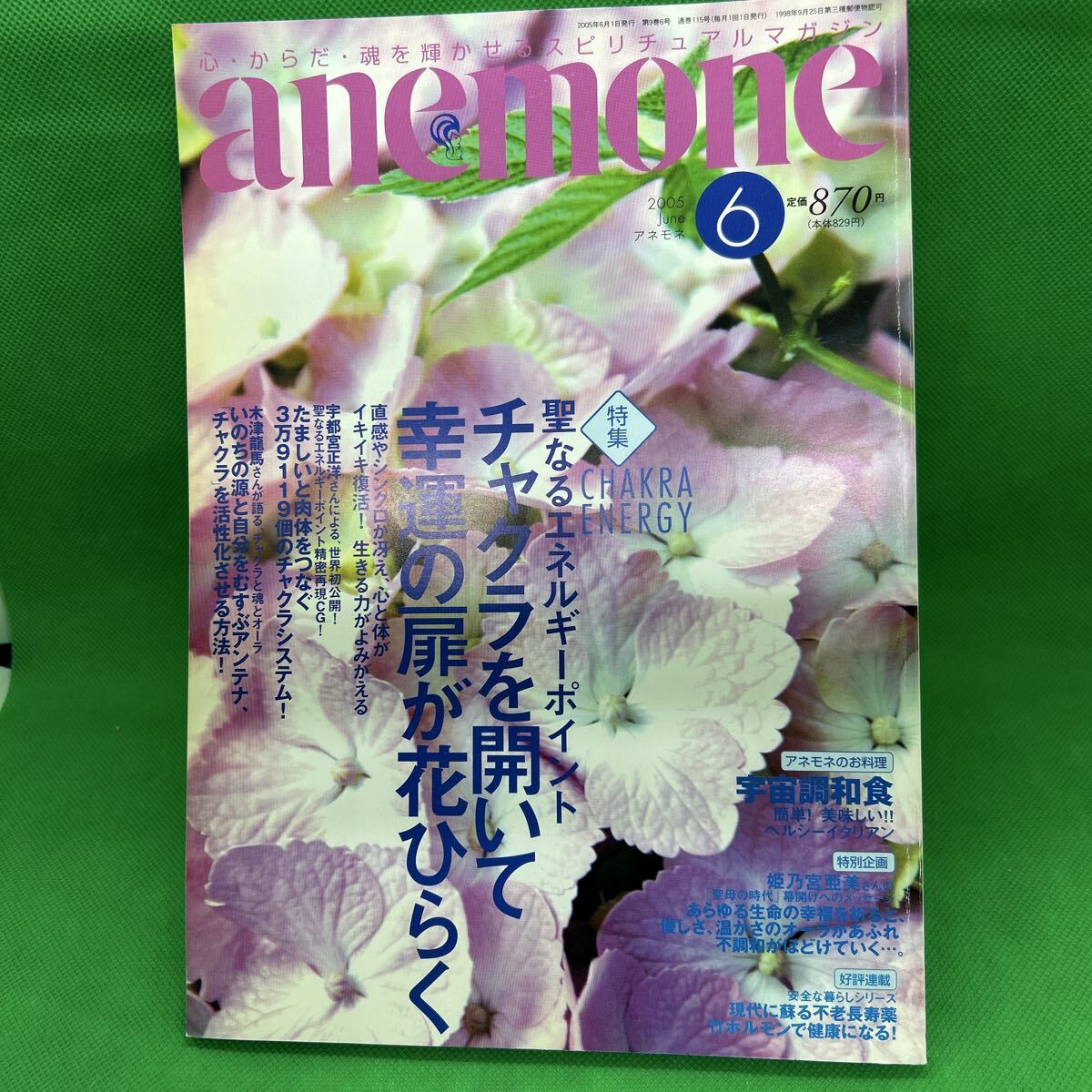 anemone(アネモネ)2005年6月号/飛鳥新社/チャクラを開いて幸運の扉が花ひらく/M251015-13*13拍卖