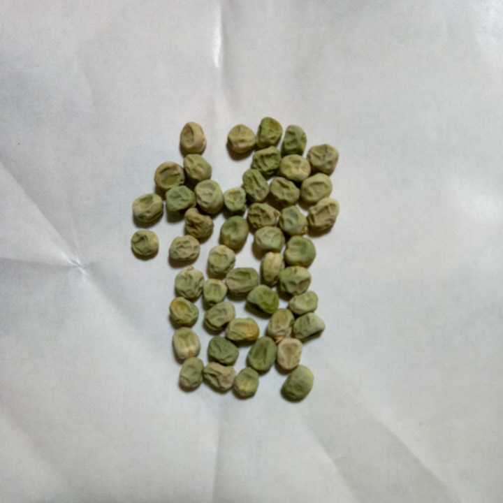 実えんどう 久留米豊の種 60粒 自家採種 農薬不使用 動物性不使用拍卖