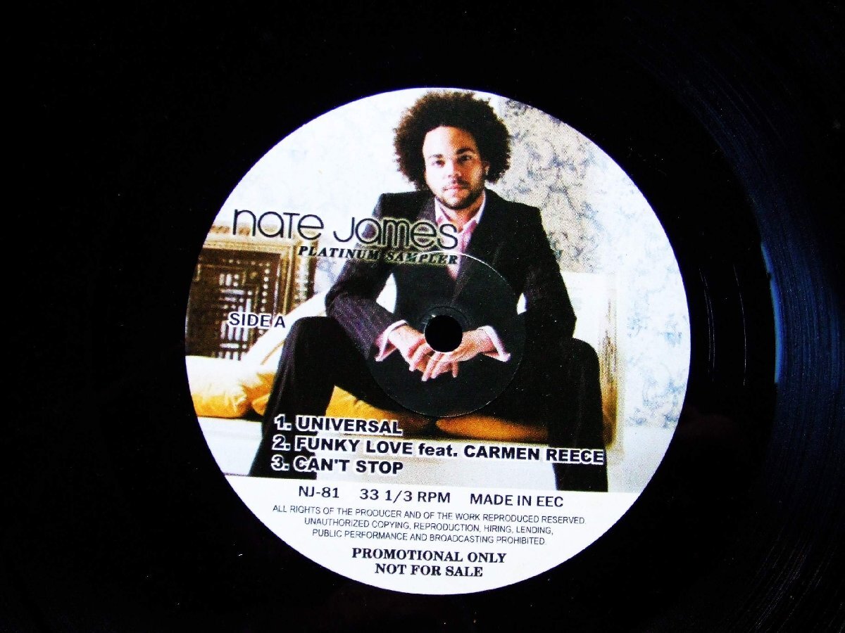 12inchS★NATE JONES/PLATINUM SAMPLER★R&B人気盤!拍卖