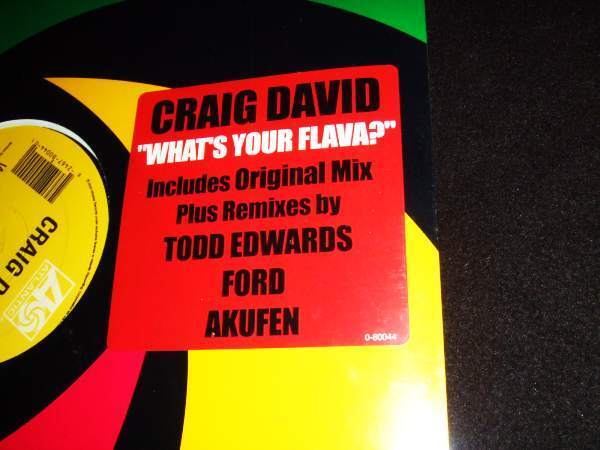 未開封盤!12”S★ELECTRONIC★Craig David/What's Your Flava?拍卖