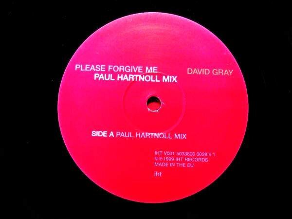 UK盤!12inchS★DAVID GRAY/PLEASE FORGIVE ME★デヴィッド・グレイ拍卖