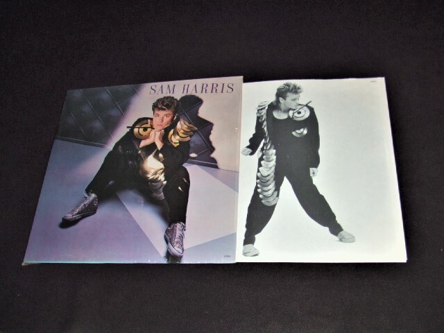 米国盤!LP★サム・ハリス SAM HARRIS★6103ML シュリンク付!拍卖