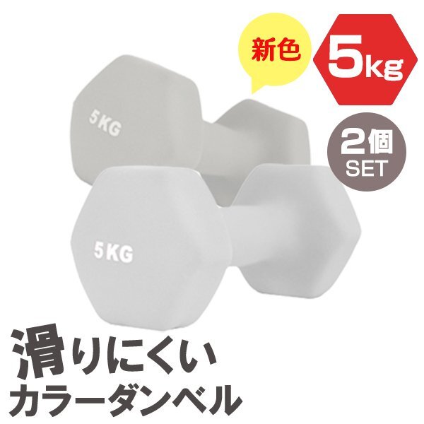 【2個セット/ライトグレー】滑りにくい カラー ダンベル 5kg 筋トレ エクササイズ 宅トレ シンプル ウエイトトレーニング ダイエット 新品 拍卖
