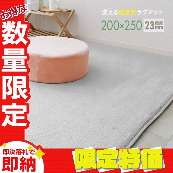 【限定セール】ラグ カーペット ラグマット Lサイズ 200x250cm 極厚23mm 3.2畳 床暖房 抗菌 防ダニ 低反発 絨毯 リビング マット 白拍卖