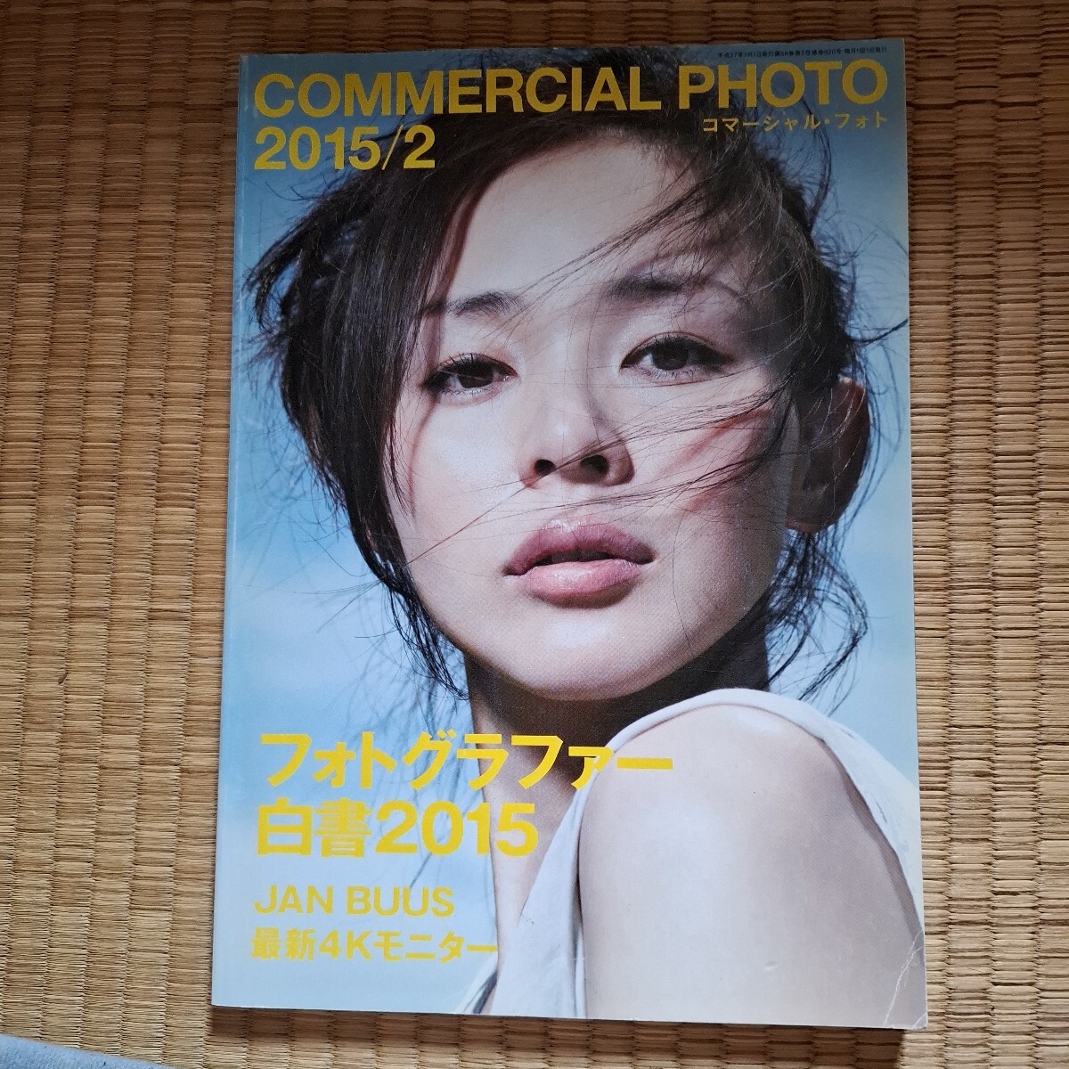 コマーシャル・フォト 2015年2月拍卖