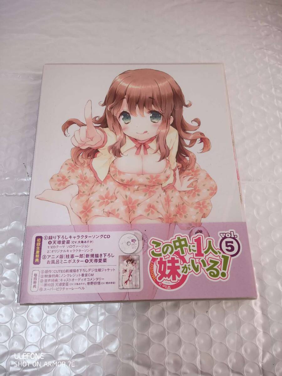 この中に1人、妹がいる! Vol.5 拍卖