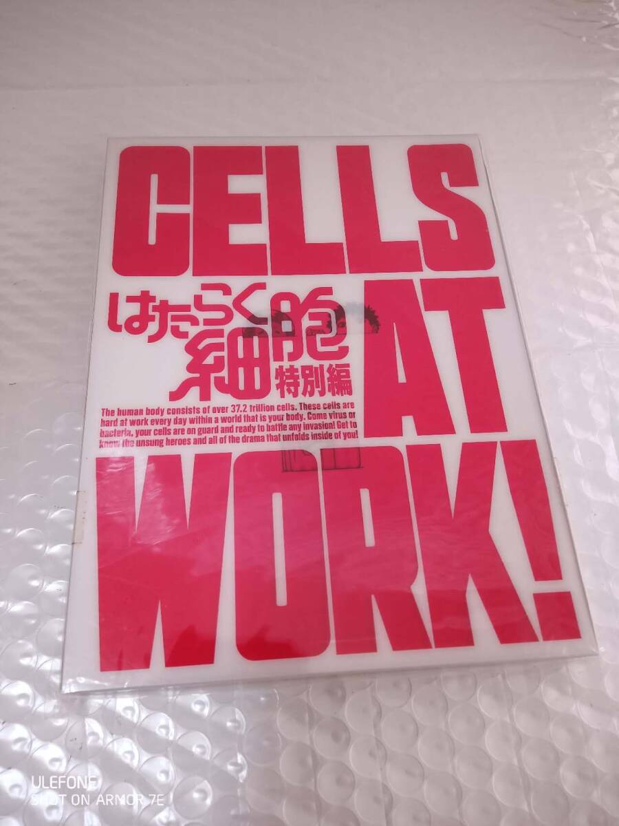 はたらく細胞 特別編(完全生産限定版) 拍卖
